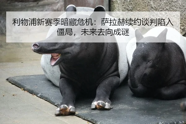 利物浦新赛季暗藏危机：萨拉赫续约谈判陷入僵局，未来去向成谜
